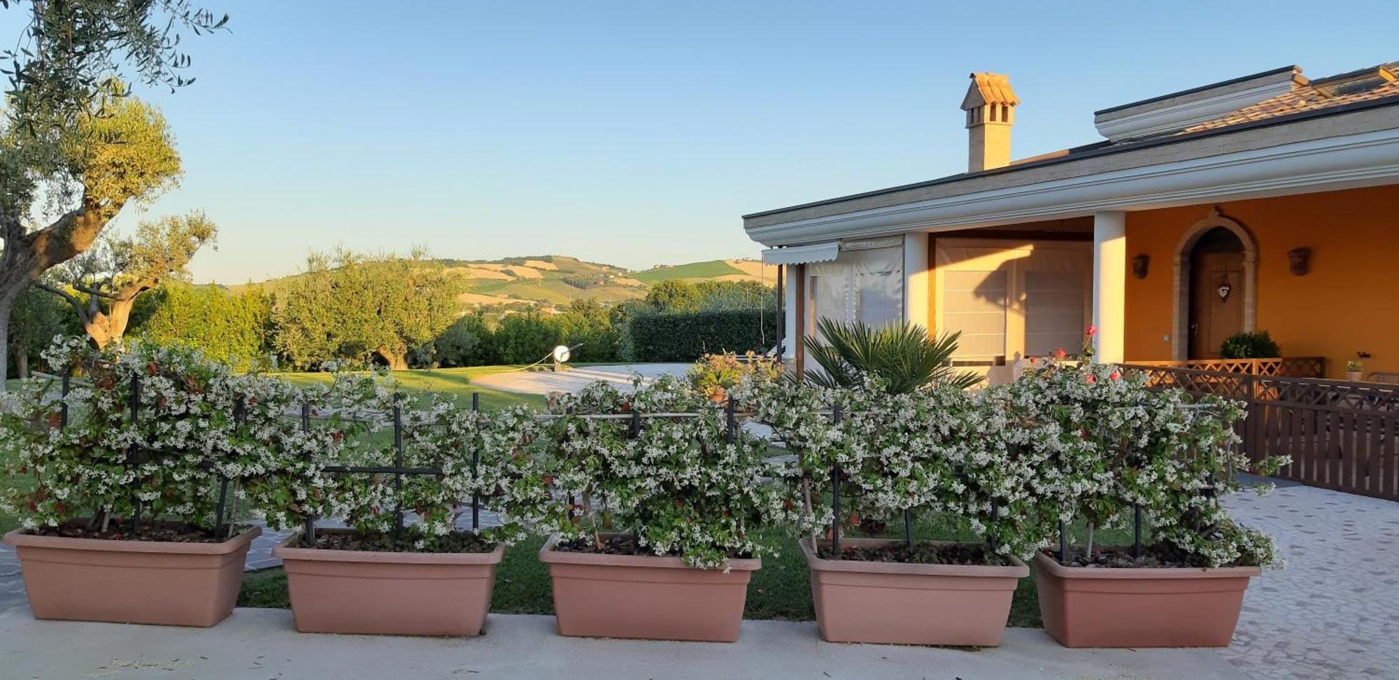 B&B Agrifoglio Сант-Эльпидио-а-Маре Экстерьер фото